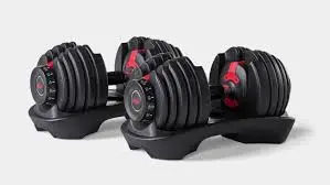 Bowflex Adjustable dumbbells